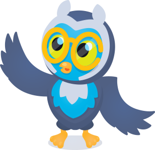 owl